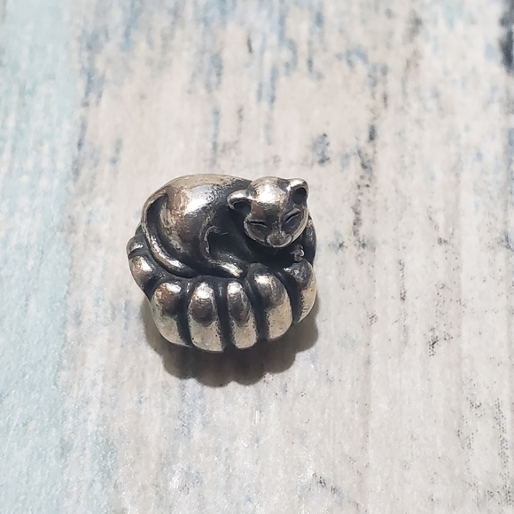 Pandora Bracelet! - Picture 4 of 16